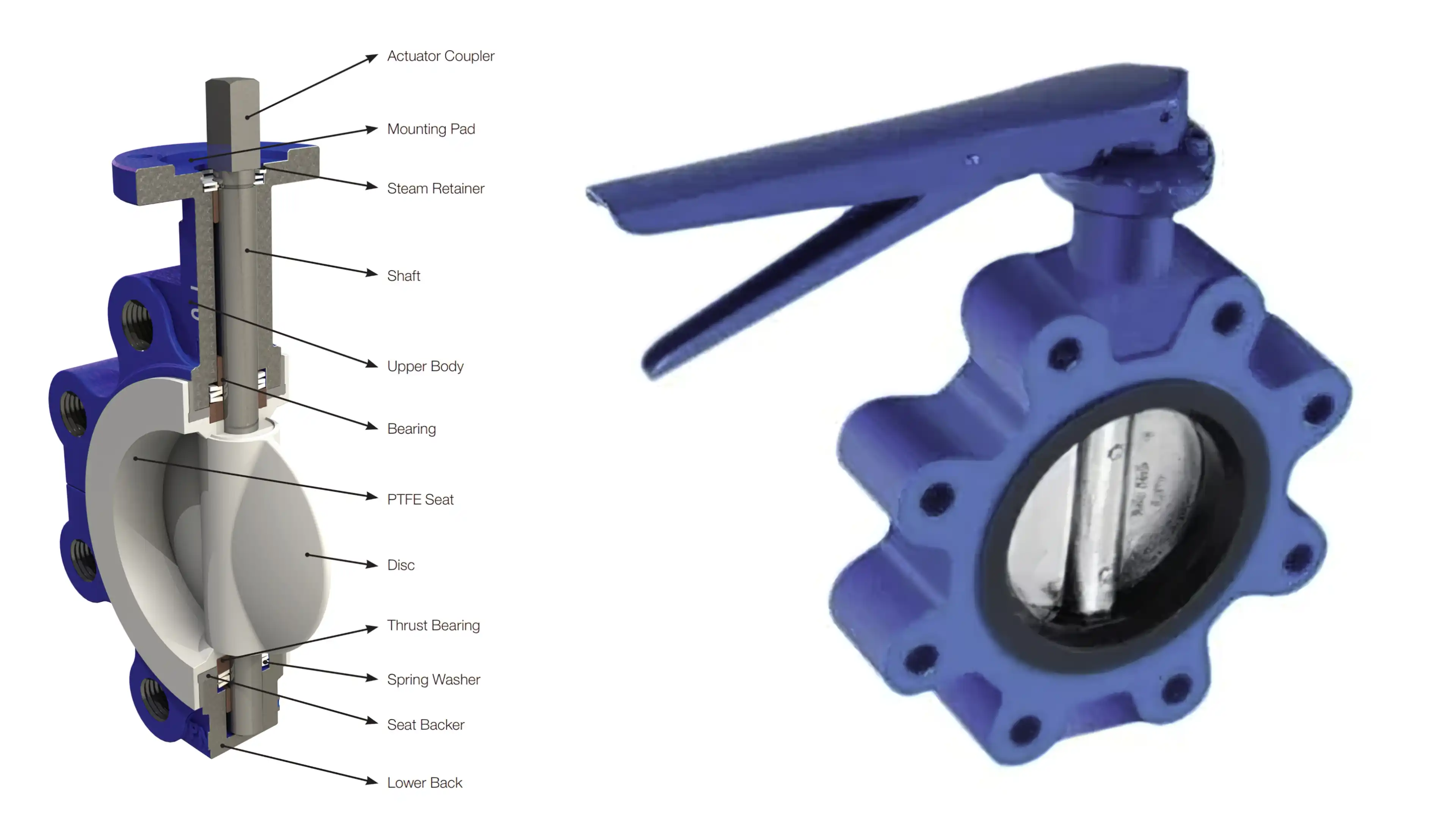 Valve, Butterfly 250mm Flange Table D